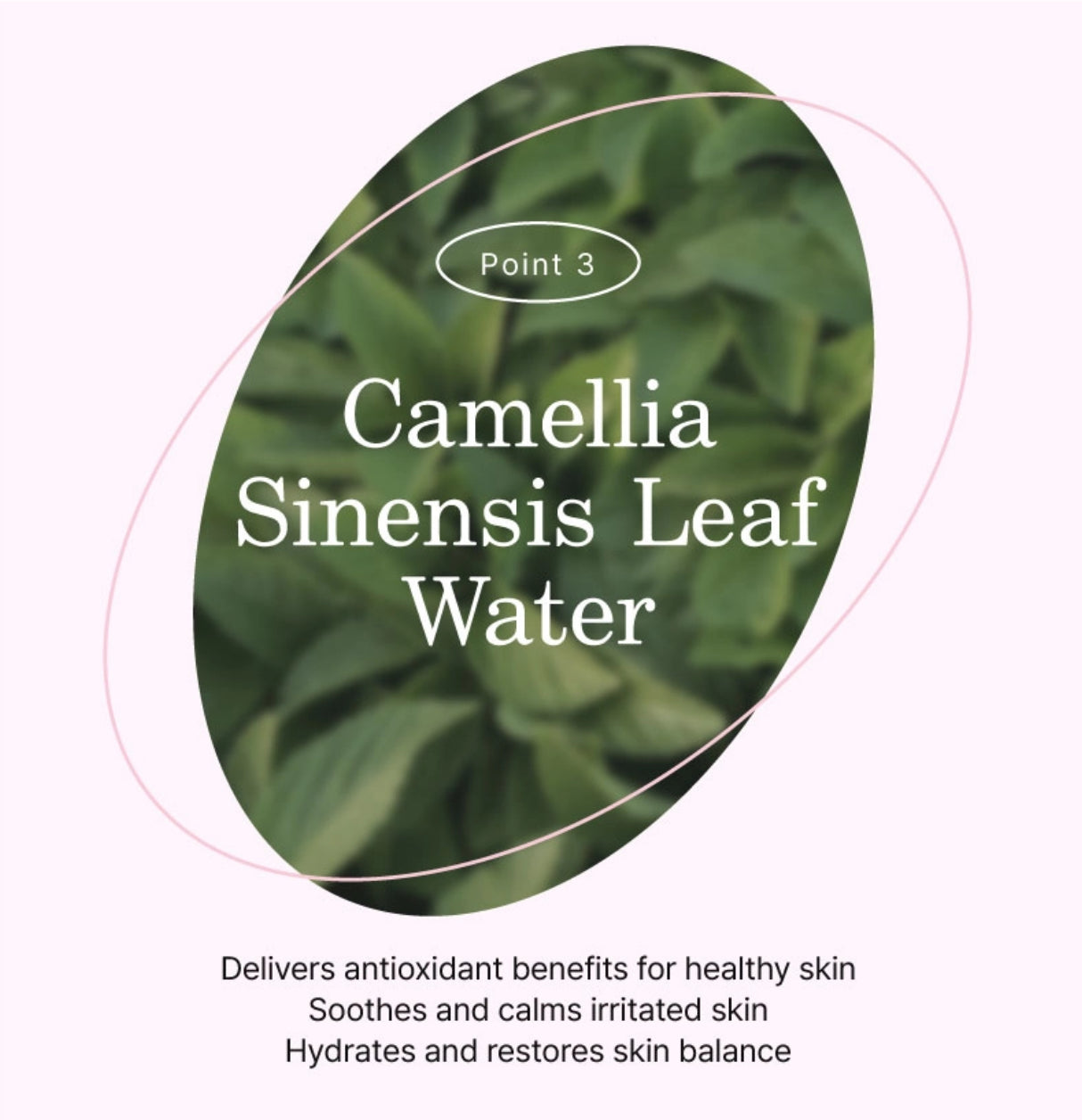 Vanhalla Blemish Care Tranexamic Acid 3 Serum (x5) (Pre-Order)